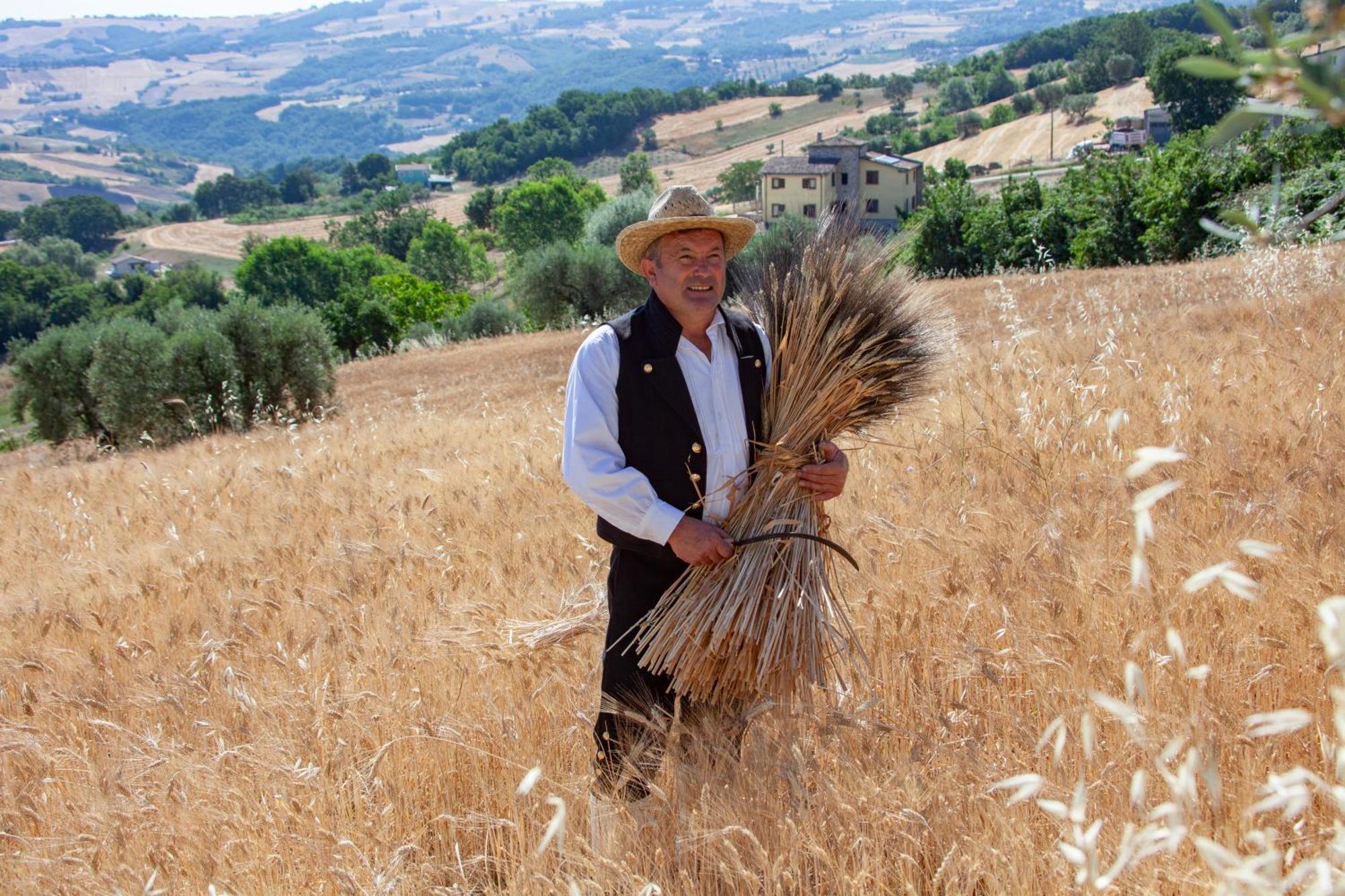 Agriturismo Terra E Sapori Campodipietra Екстер'єр фото