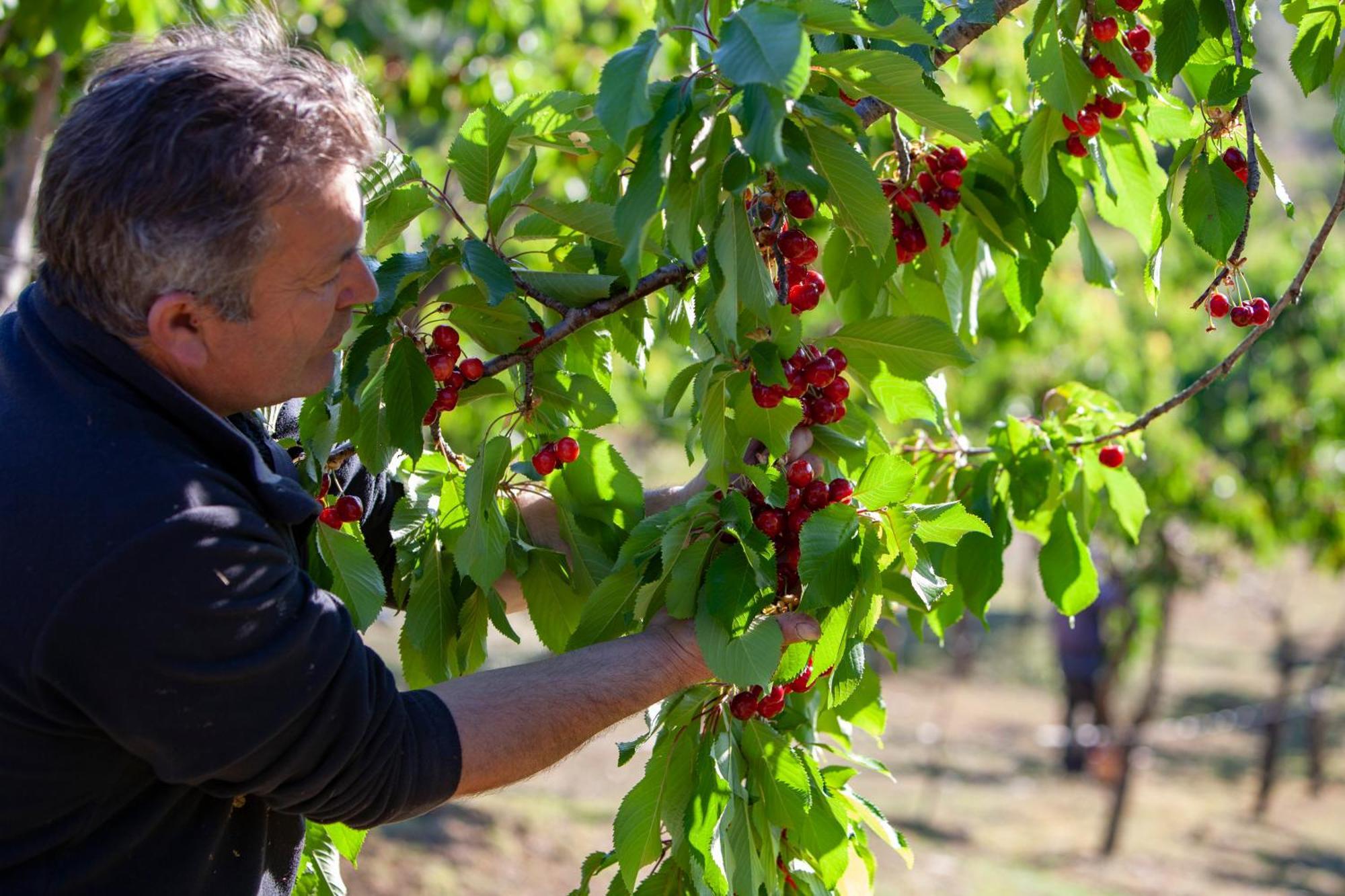 Agriturismo Terra E Sapori Campodipietra Екстер'єр фото