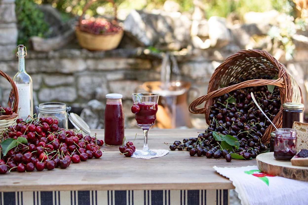 Agriturismo Terra E Sapori Campodipietra Екстер'єр фото
